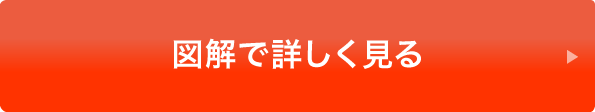 図解で詳しく見る