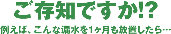 ご存知ですか!?例えば、こんな漏水を1ヶ月も放置したら…
